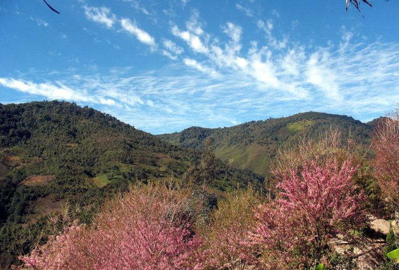 临翔区茶文化风情园餐厅